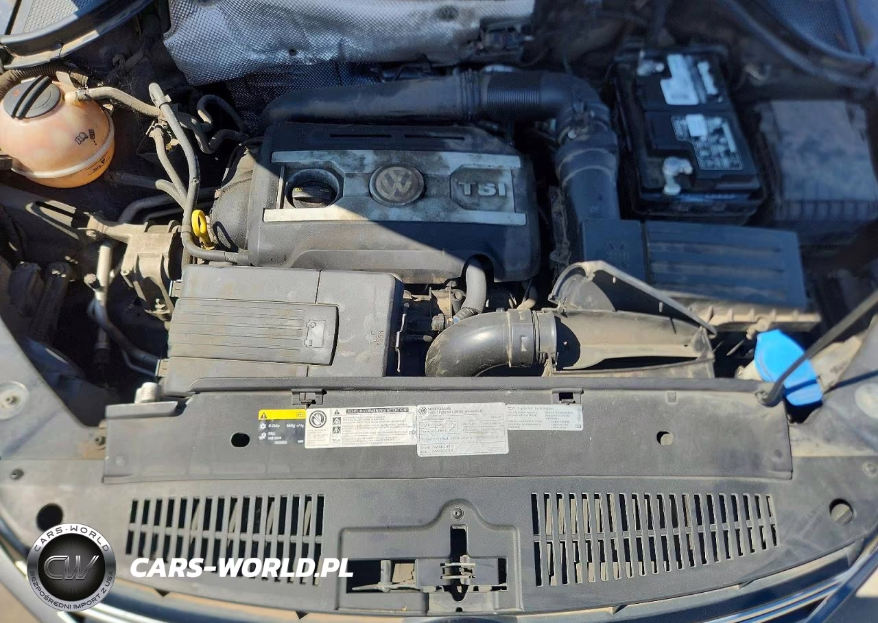 2014 Volkswagen Tiguan S VIN:WVGAV3AX0EW550186 - 12