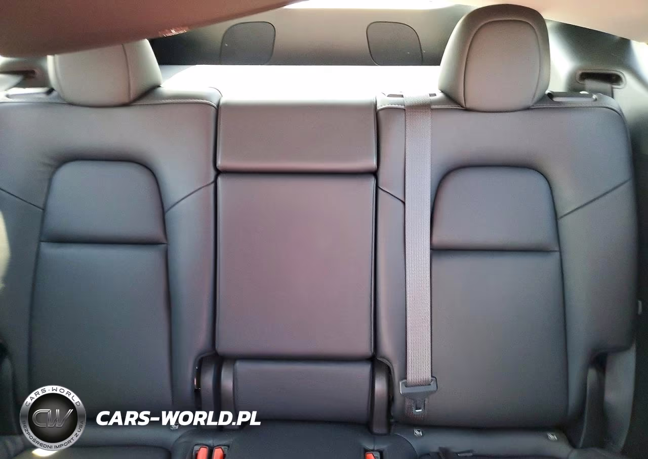 2023 Tesla Model Y VIN:7SAYGDEEXPF848881 - 10