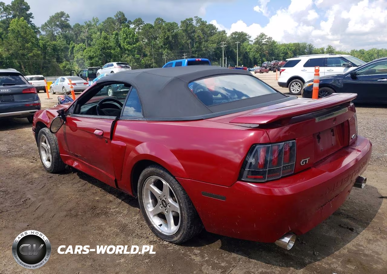 2003 Ford Mustang Gt VIN:1FAFP45X03F444702 - 2