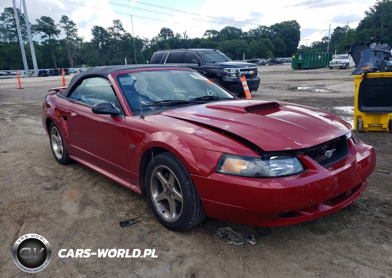 2003 Ford Mustang Gt VIN:1FAFP45X03F444702 - 4