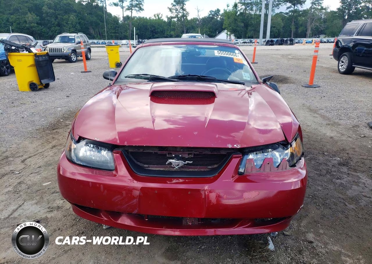 2003 Ford Mustang Gt VIN:1FAFP45X03F444702 - 5