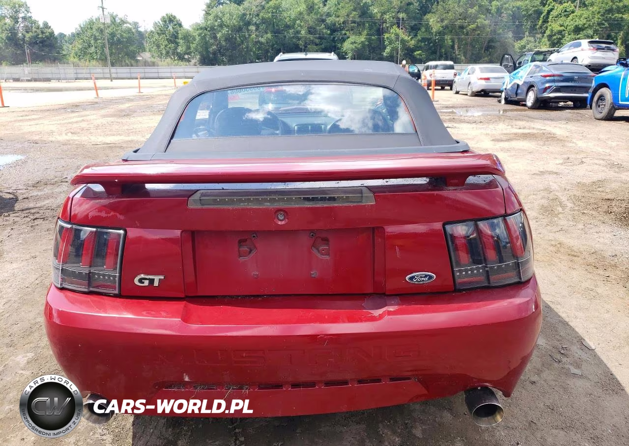 2003 Ford Mustang Gt VIN:1FAFP45X03F444702 - 6