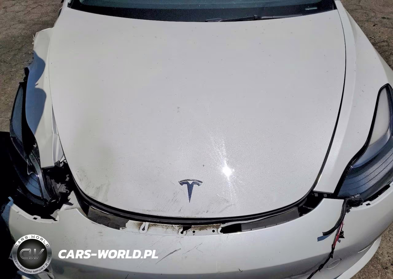 2023 Tesla Model 3 VIN:5YJ3E1EAXPF566152 - 11