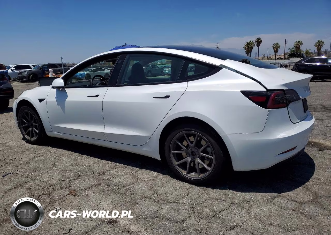 2023 Tesla Model 3 VIN:5YJ3E1EAXPF566152 - 2