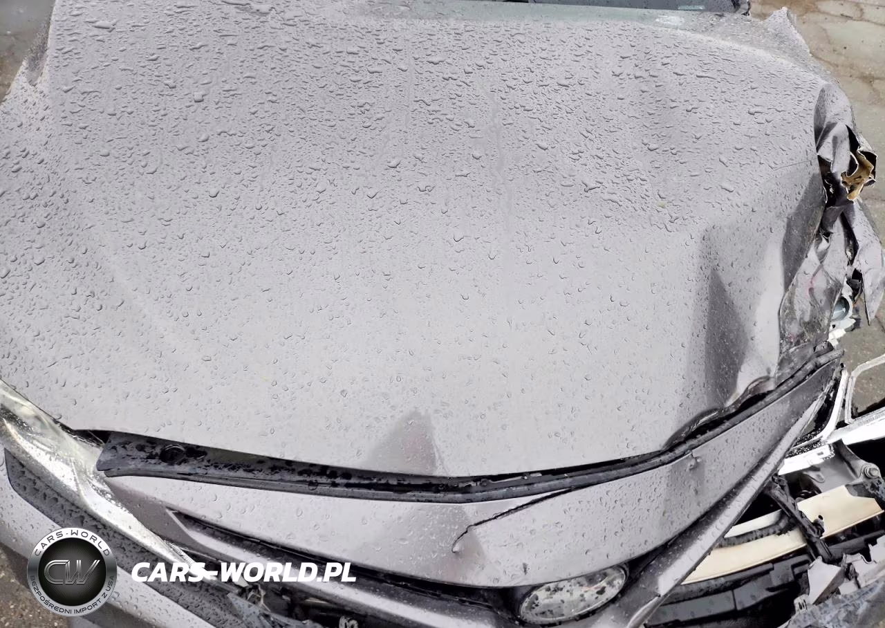 2019 Toyota Camry Se VIN:4T1B11HK4KU852831 - 11