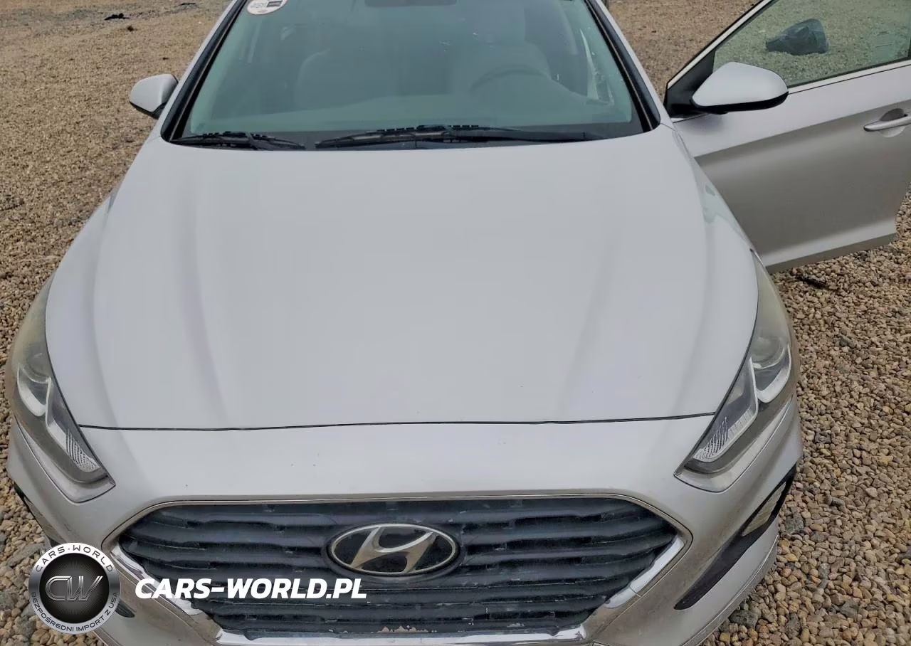 2019 Hyundai Sonata Se VIN:5NPE24AF1KH733688 - 11
