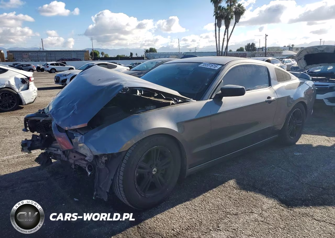 2014 Ford Mustang – zdjęcie 1 z 13