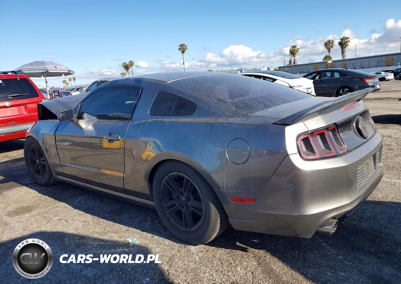 2014 Ford Mustang VIN:1ZVBP8AM7E5301974 - 2