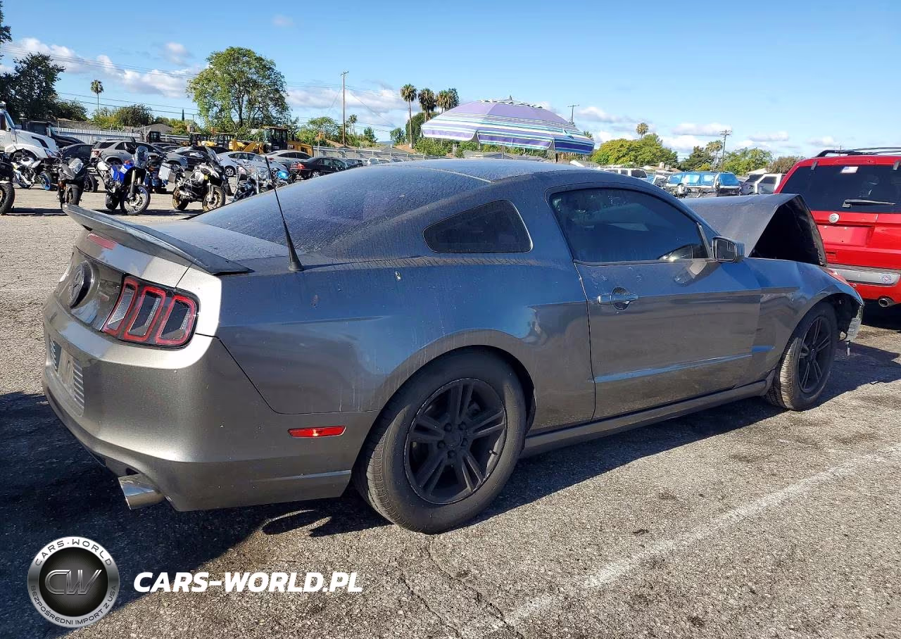 2014 Ford Mustang VIN:1ZVBP8AM7E5301974 - 3