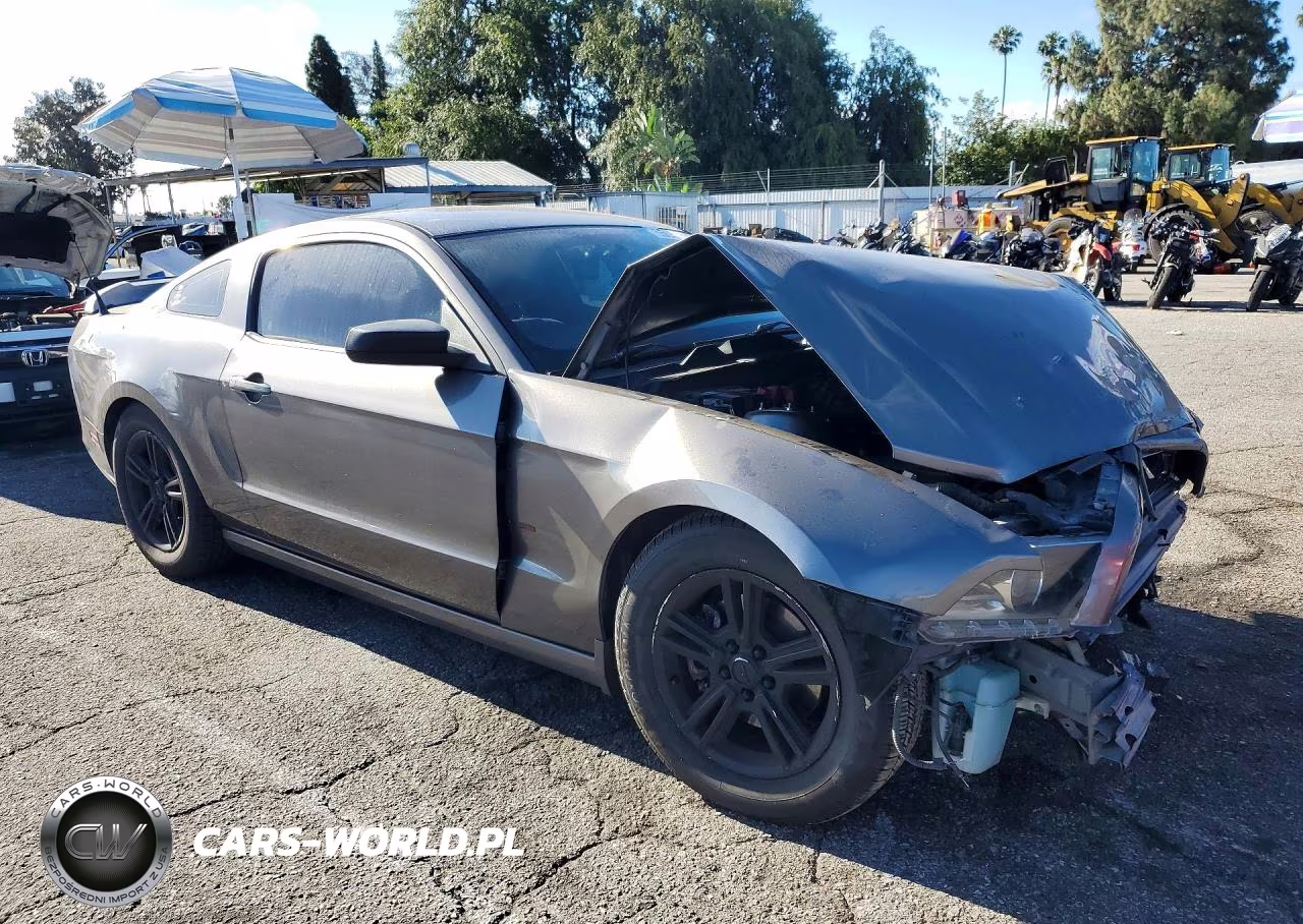 2014 Ford Mustang VIN:1ZVBP8AM7E5301974 - 4