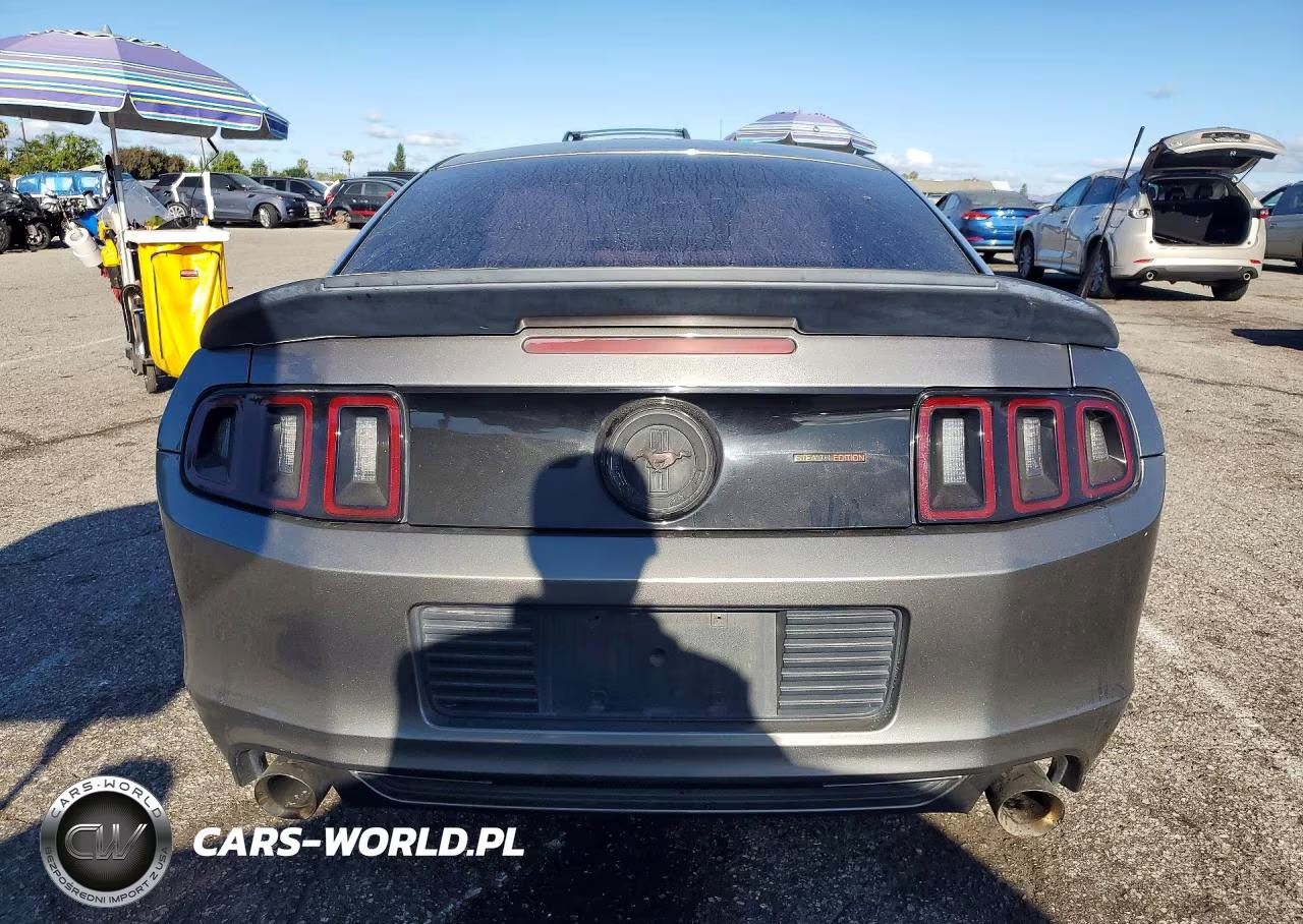 2014 Ford Mustang VIN:1ZVBP8AM7E5301974 - 6