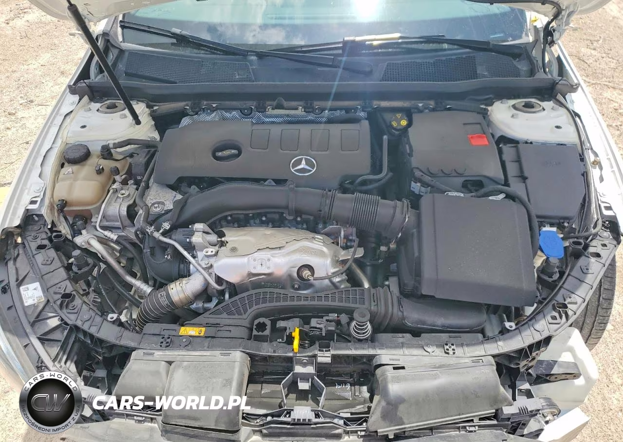 2019 Mercedes-Benz A 220 VIN:WDD3G4EBXKW021826 - 11