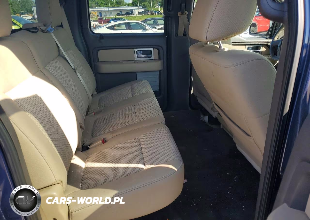 2010 Ford F150 Supercrew VIN:1FTEW1C88AKB83441 - 10