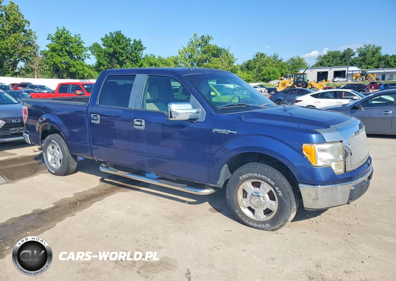 2010 Ford F150 Supercrew VIN:1FTEW1C88AKB83441 - 4