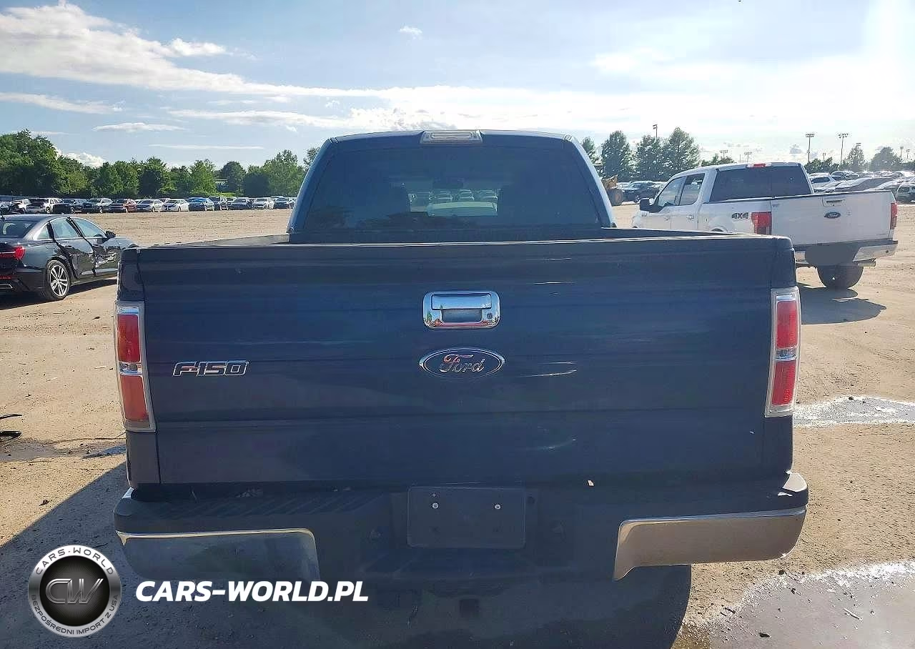2010 Ford F150 Supercrew VIN:1FTEW1C88AKB83441 - 6