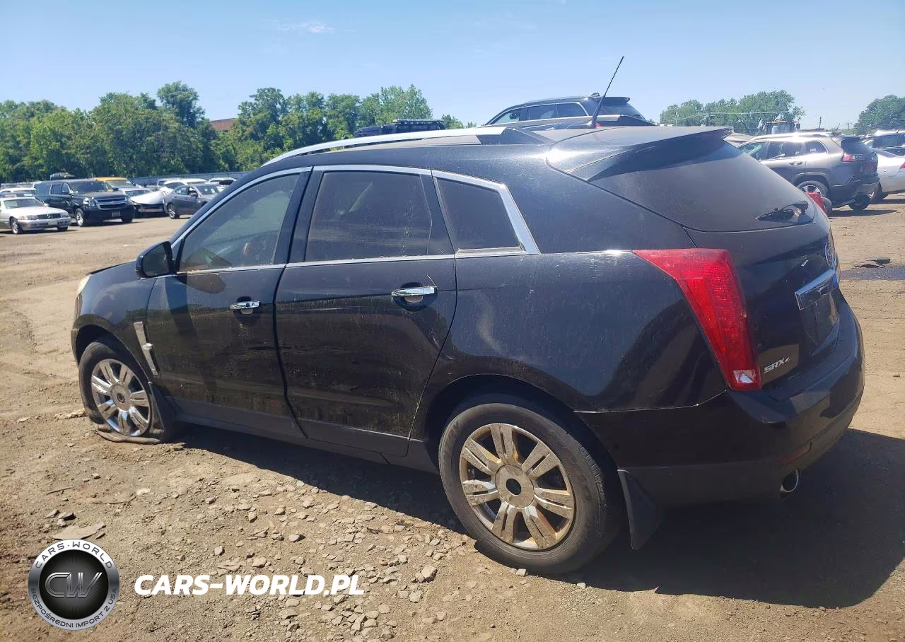 2011 Cadillac Srx Luxury Collection VIN:3GYFNDEY7BS676260 - 2