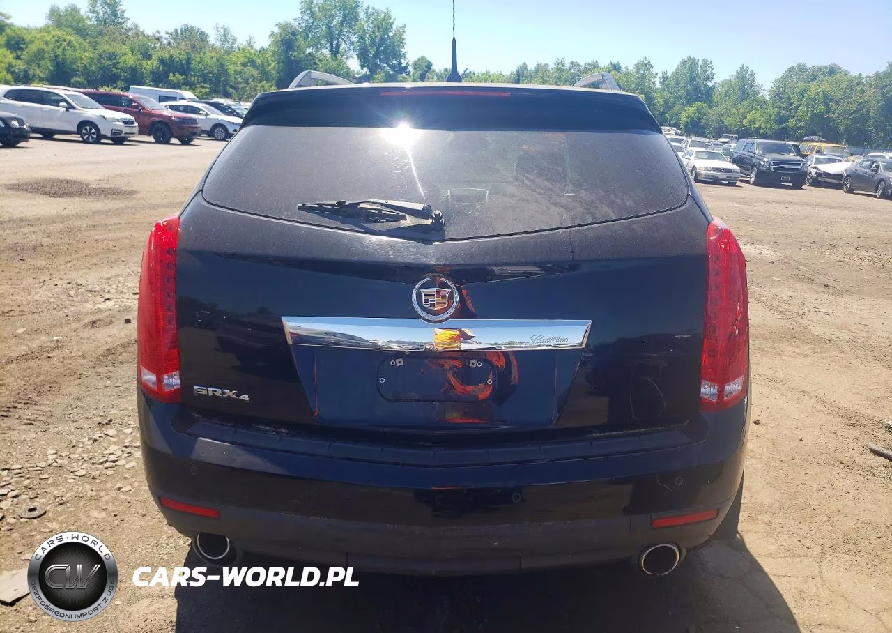 2011 Cadillac Srx Luxury Collection VIN:3GYFNDEY7BS676260 - 6