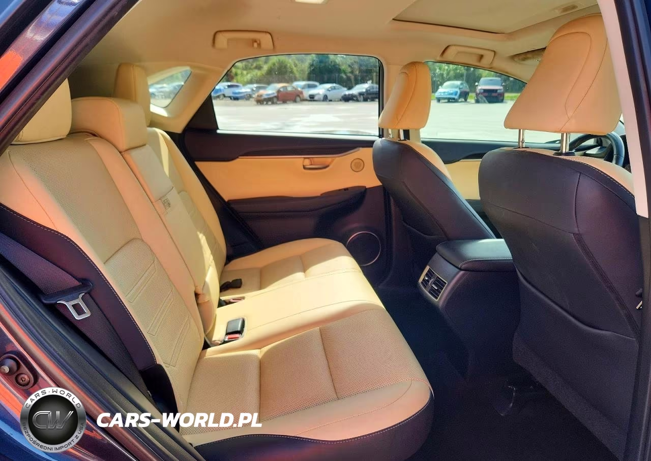 2015 Lexus Nx 200T VIN:JTJYARBZ0F2012420 - 11