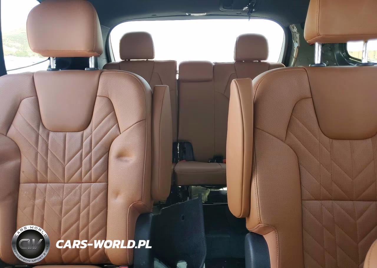 2025 Kia Telluride Ex X-Line VIN:5XYP3DGC5SG655104 - 10
