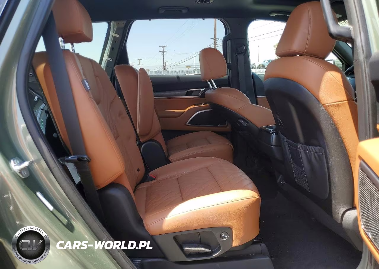 2025 Kia Telluride Ex X-Line VIN:5XYP3DGC5SG655104 - 11