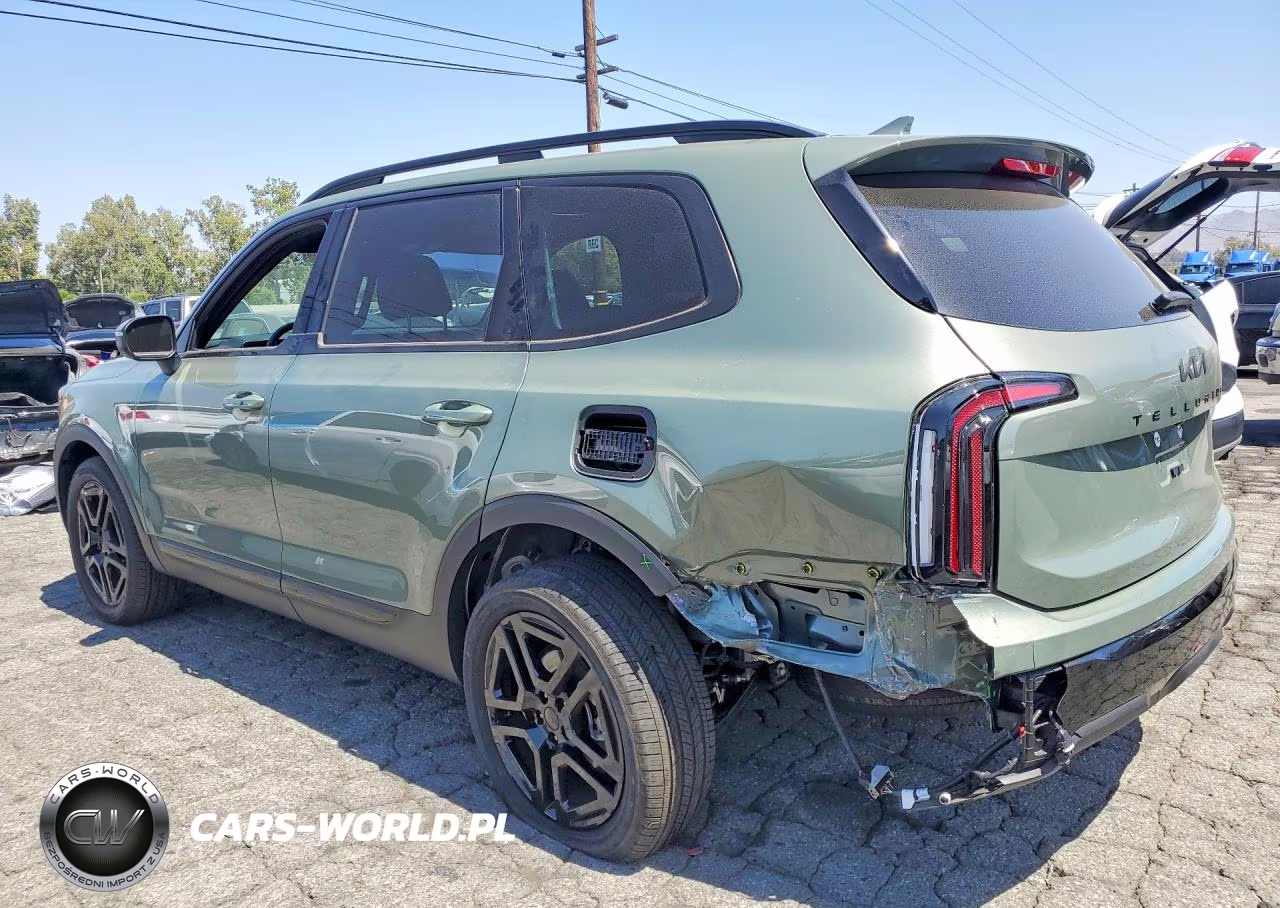 2025 Kia Telluride Ex X-Line VIN:5XYP3DGC5SG655104 - 2