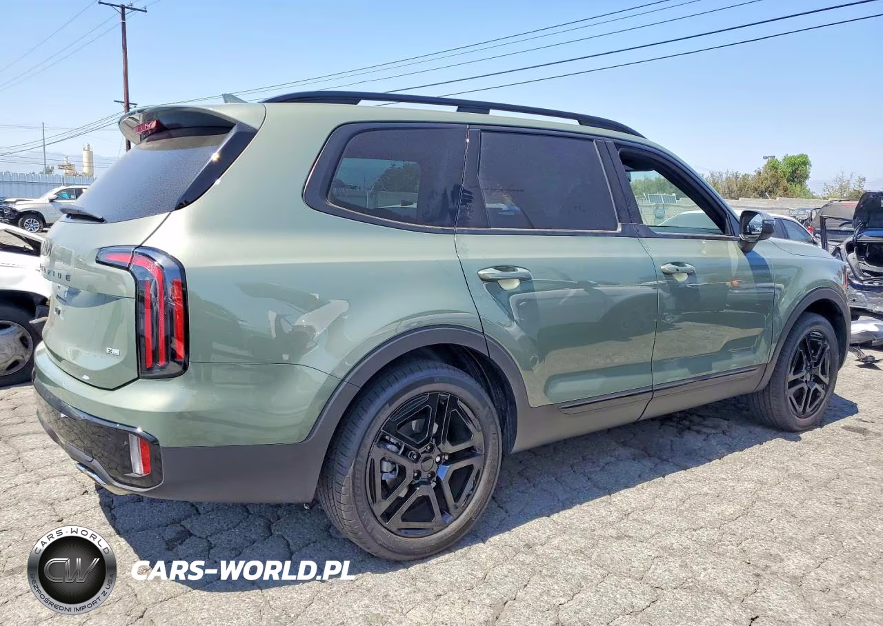 2025 Kia Telluride Ex X-Line VIN:5XYP3DGC5SG655104 - 3
