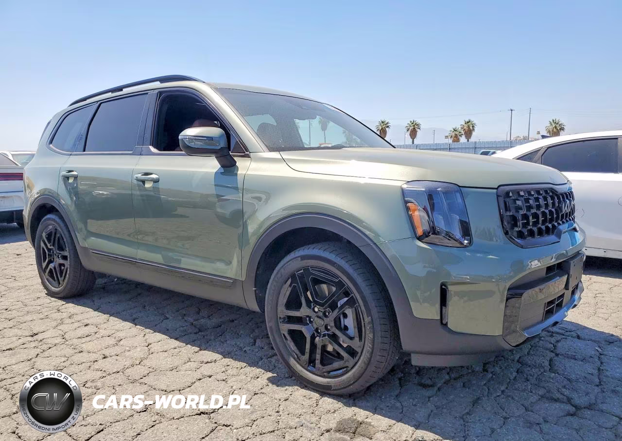 2025 Kia Telluride Ex X-Line VIN:5XYP3DGC5SG655104 - 4