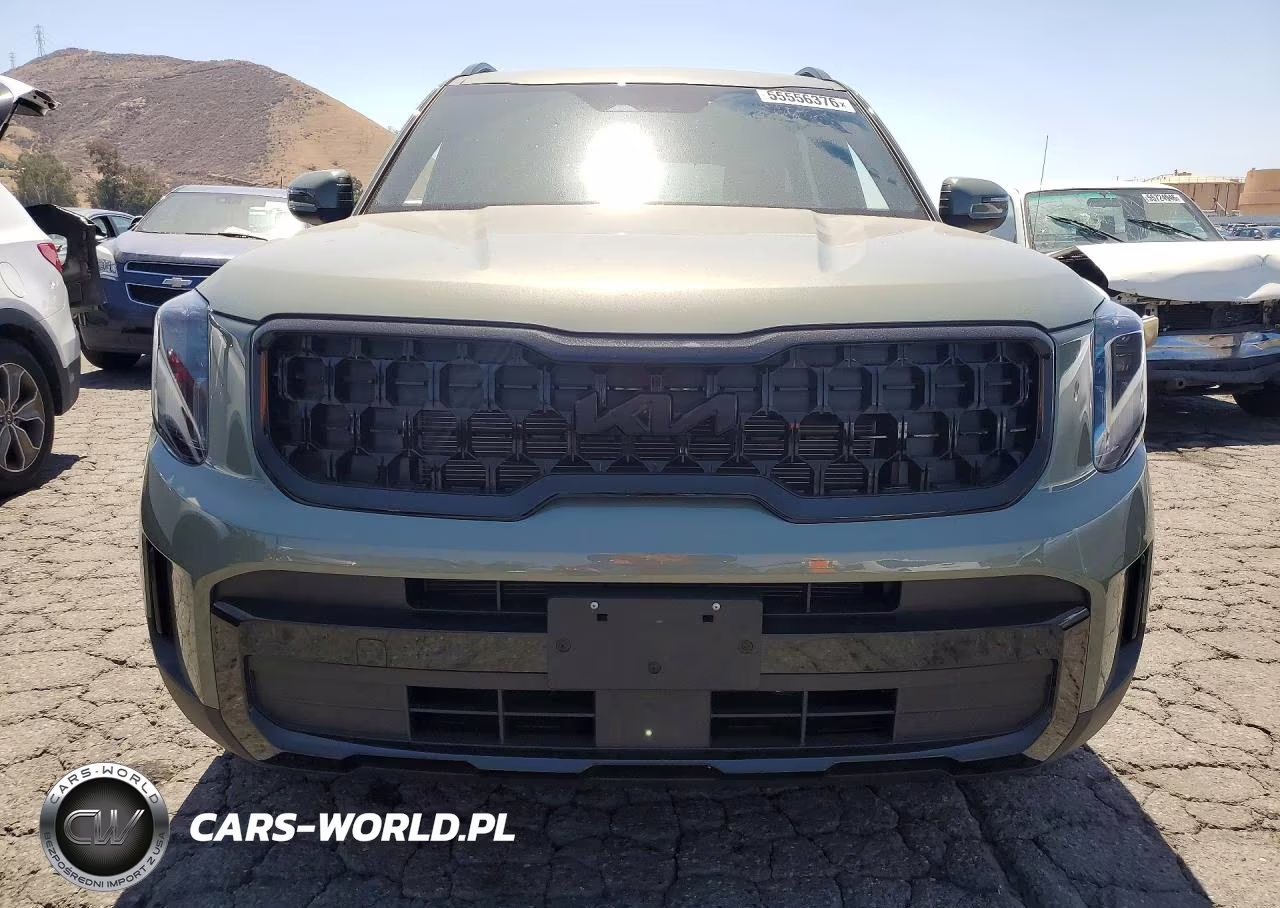 2025 Kia Telluride Ex X-Line VIN:5XYP3DGC5SG655104 - 5