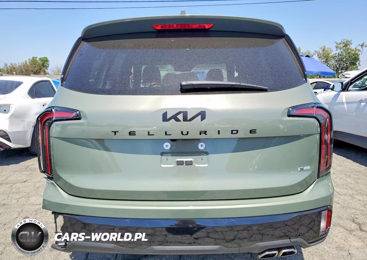 2025 Kia Telluride Ex X-Line VIN:5XYP3DGC5SG655104 - 6