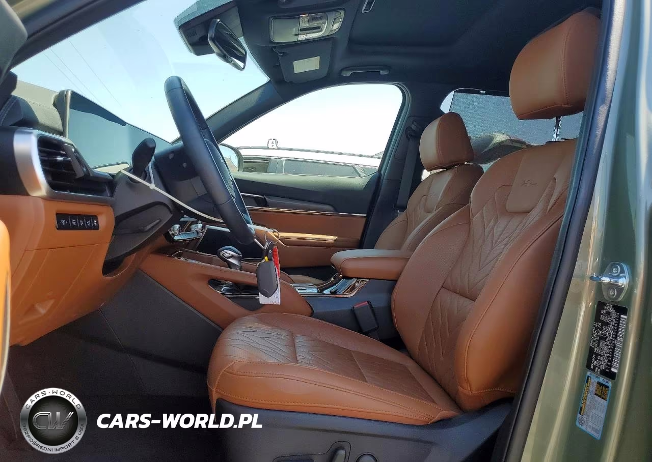 2025 Kia Telluride Ex X-Line VIN:5XYP3DGC5SG655104 - 7