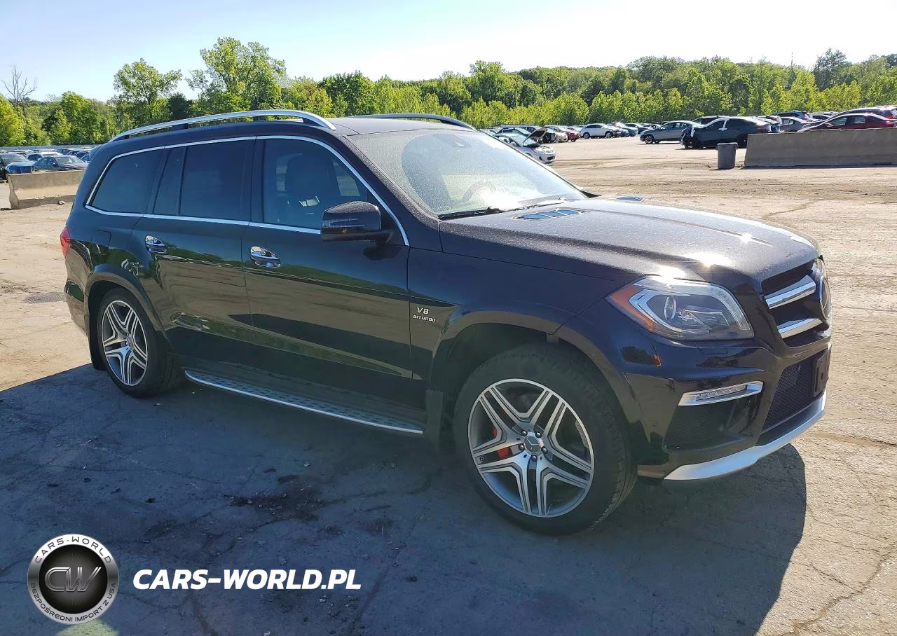 2014 Mercedes-Benz Gl 63 Amg VIN:4JGDF7EE8EA412208 - 4