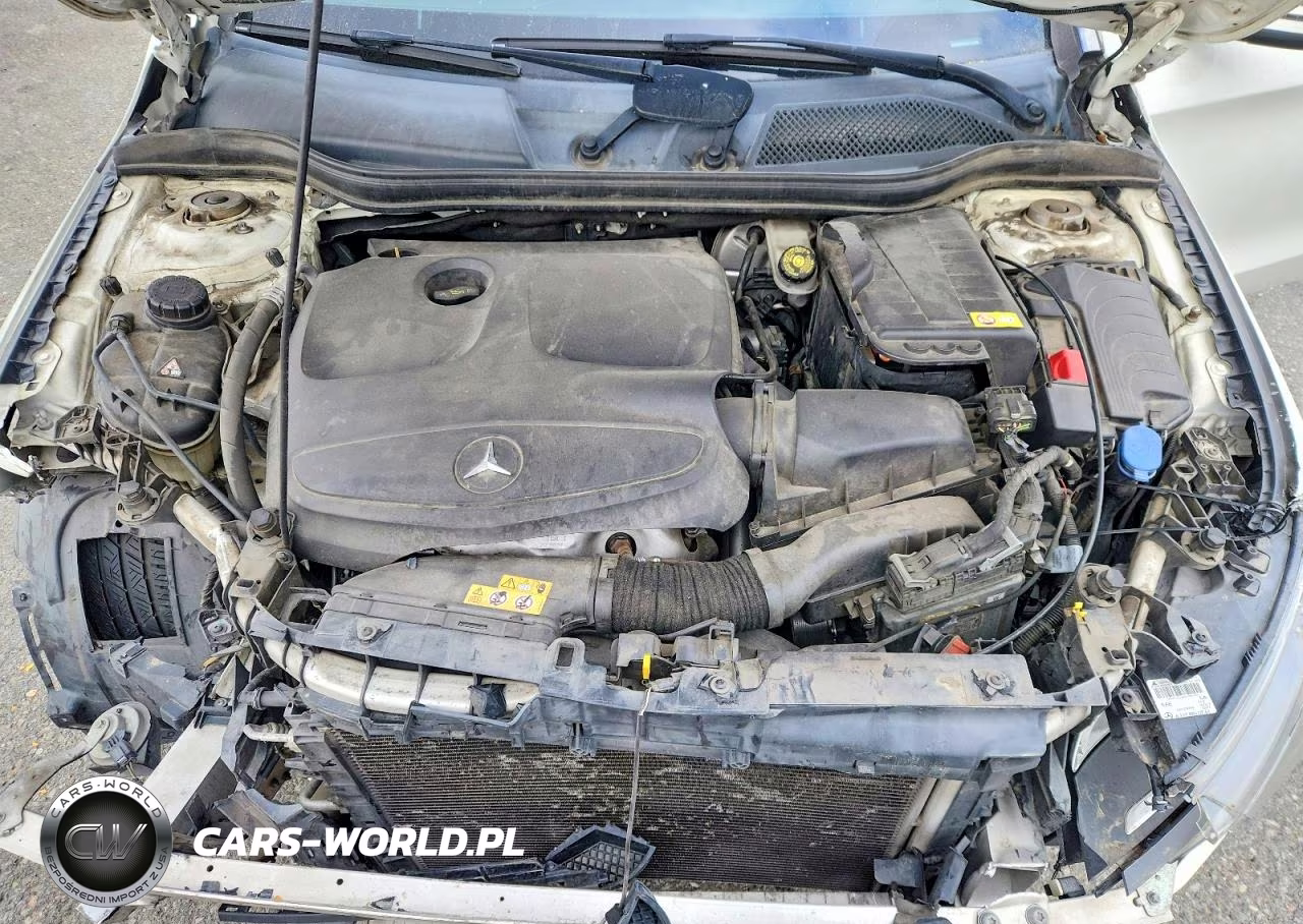 2014 Mercedes-Benz Cla 250 VIN:WDDSJ4EB4EN116499 - 11