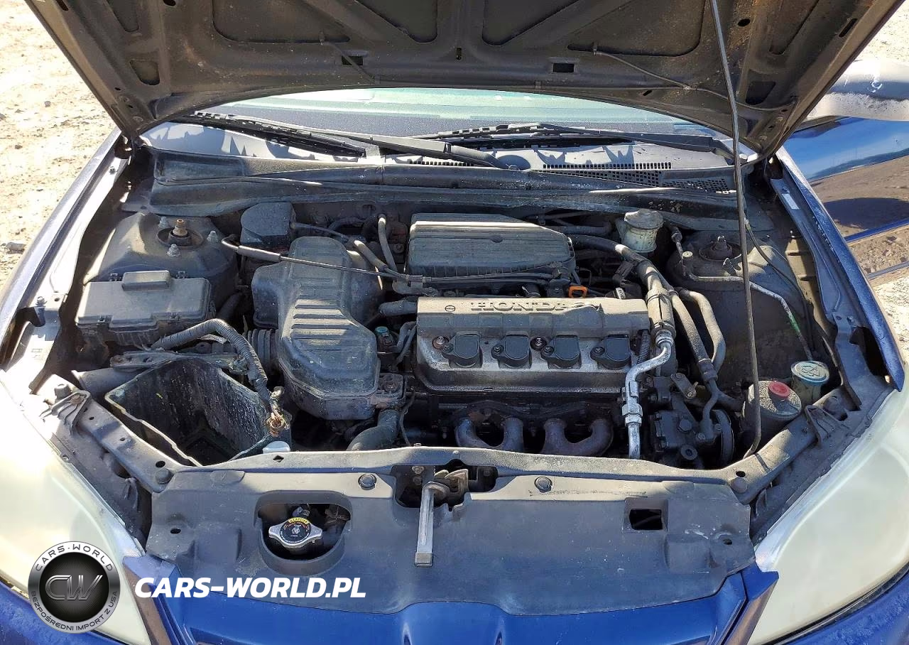 2004 Honda Civic Lx VIN:2HGES16534H572627 - 11