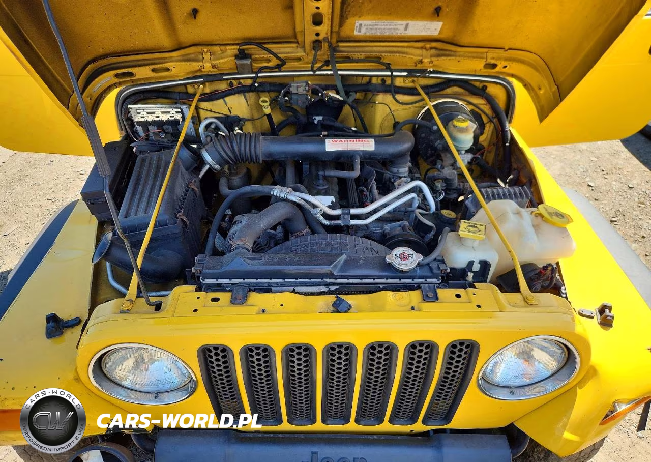 2003 Jeep Wrangler - Tj Sport VIN:1J4FA49S43P369971 - 11