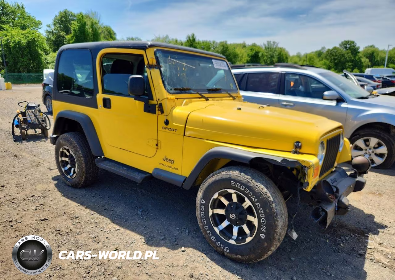 2003 Jeep Wrangler - Tj Sport VIN:1J4FA49S43P369971 - 4