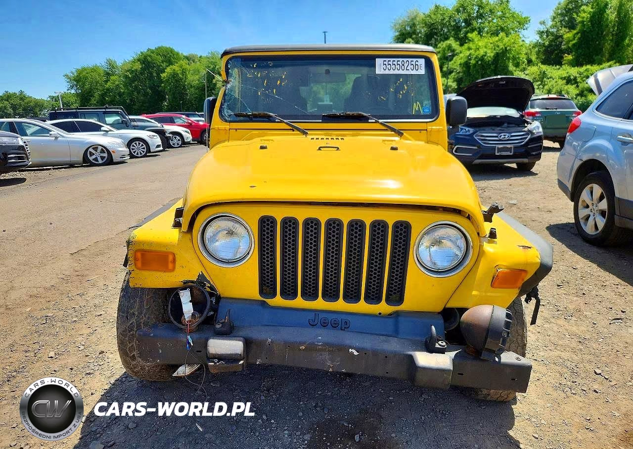 2003 Jeep Wrangler - Tj Sport VIN:1J4FA49S43P369971 - 5