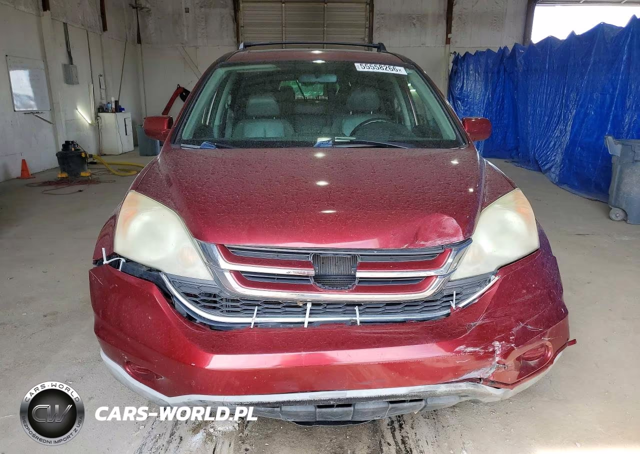2010 Honda Cr-V Exl VIN:5J6RE4H77AL014506 - 5