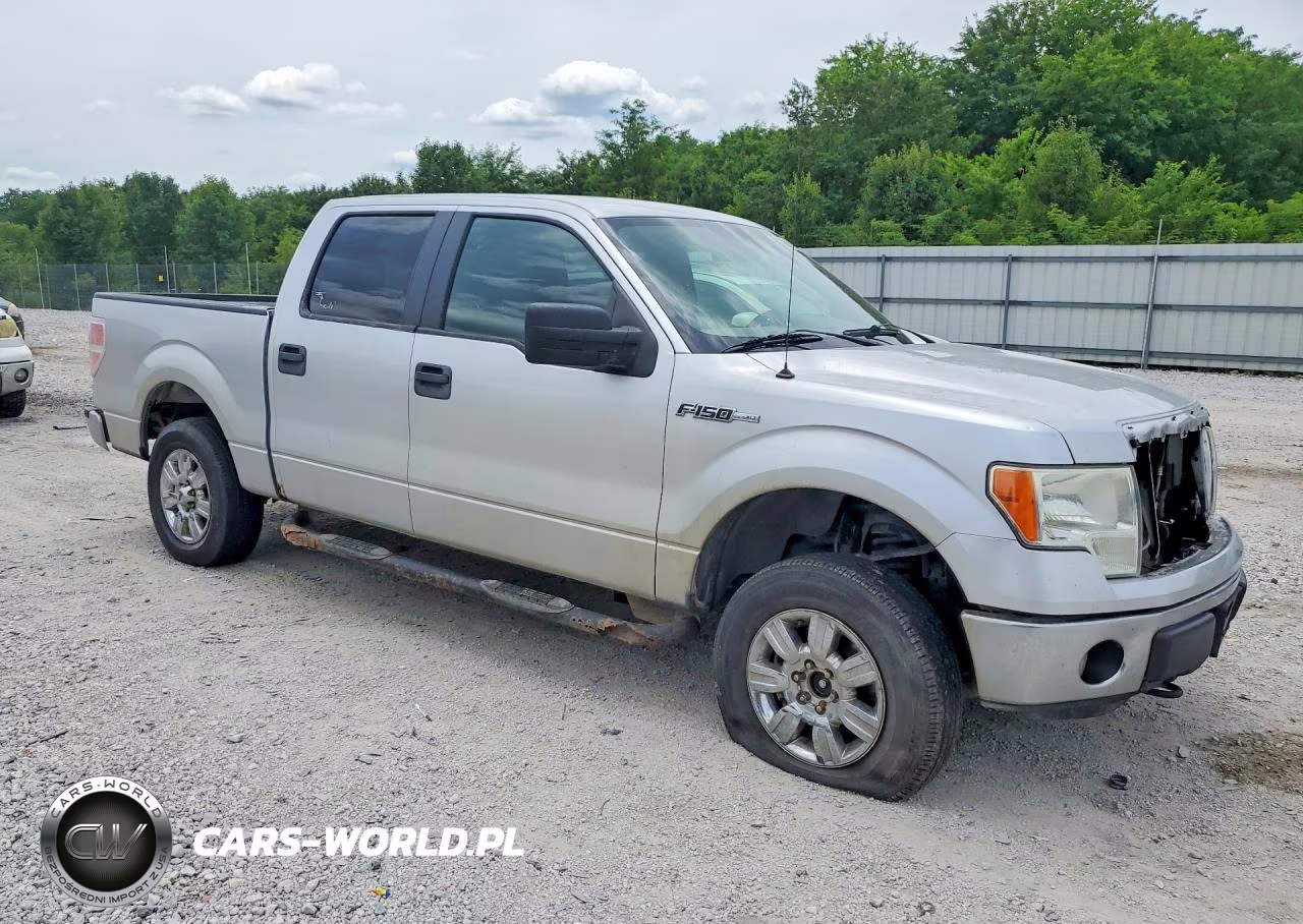 2011 Ford F150 Supercrew VIN:1FTFW1EF9BFB58459 - 4