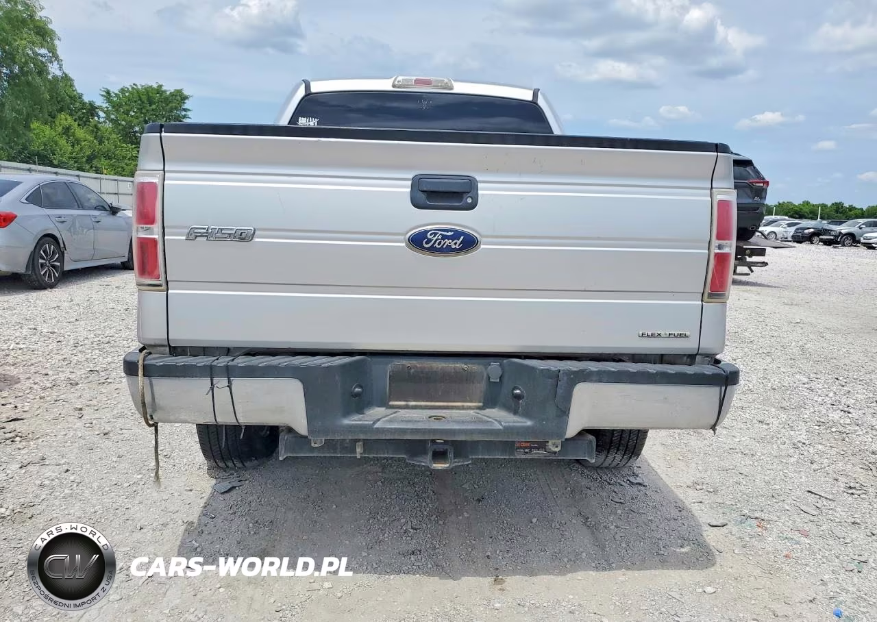 2011 Ford F150 Supercrew VIN:1FTFW1EF9BFB58459 - 6