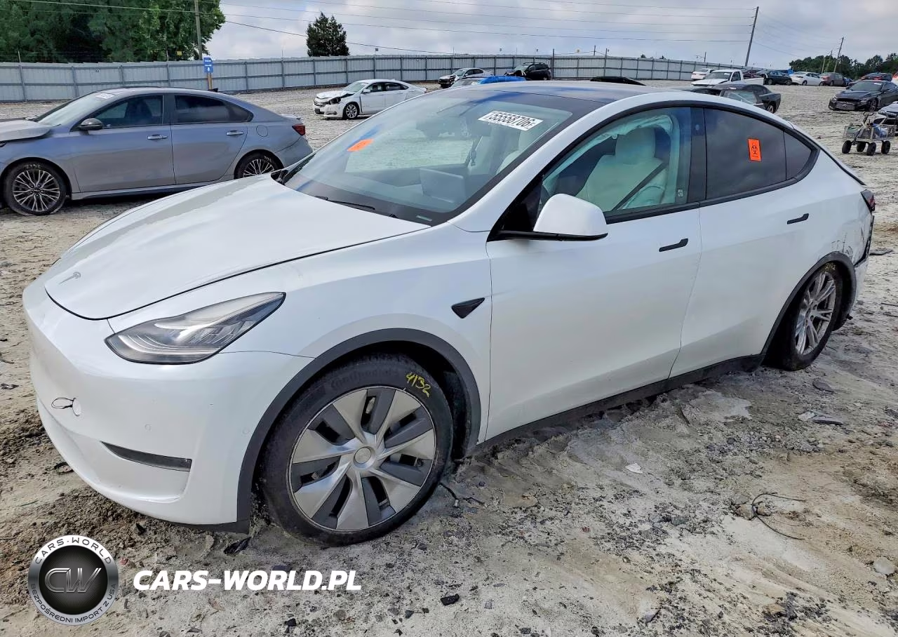 2020 Tesla Model Y
