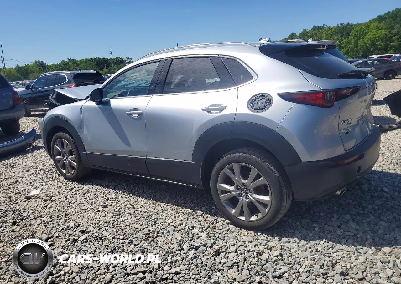 2021 Mazda Cx-30 Premium VIN:3MVDMBDL3MM309470 - 2