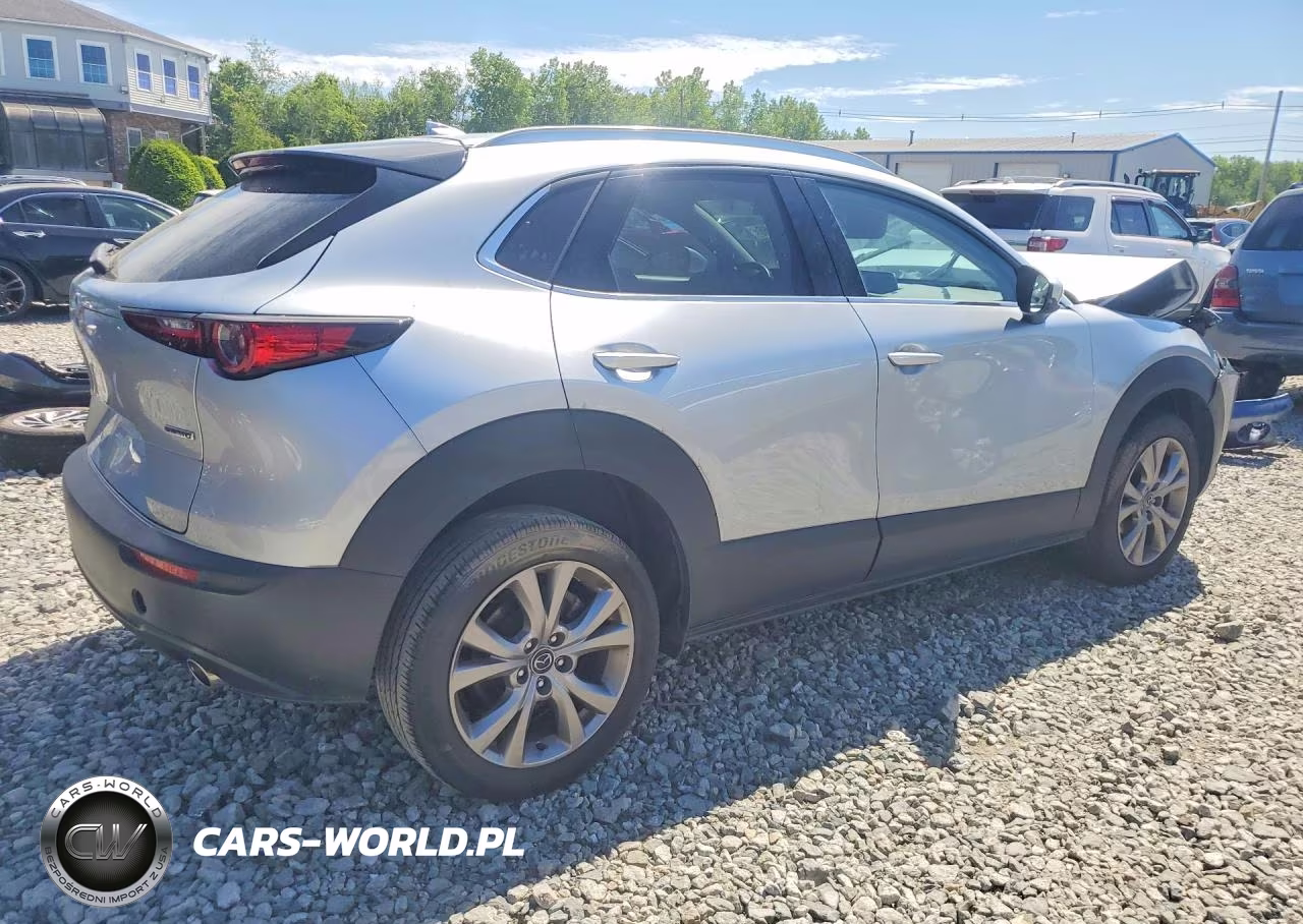 2021 Mazda Cx-30 Premium VIN:3MVDMBDL3MM309470 - 3