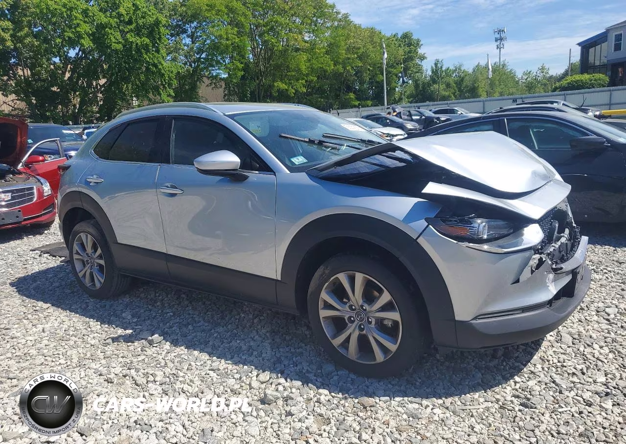 2021 Mazda Cx-30 Premium VIN:3MVDMBDL3MM309470 - 4