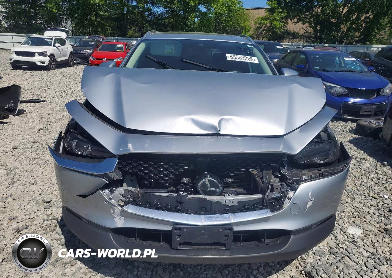 2021 Mazda Cx-30 Premium VIN:3MVDMBDL3MM309470 - 5