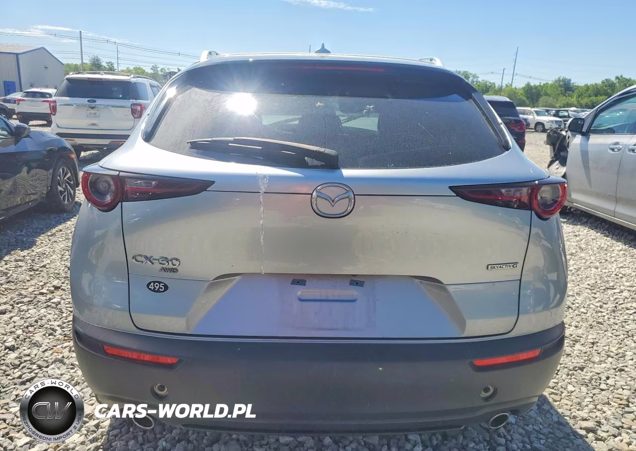2021 Mazda Cx-30 Premium VIN:3MVDMBDL3MM309470 - 6