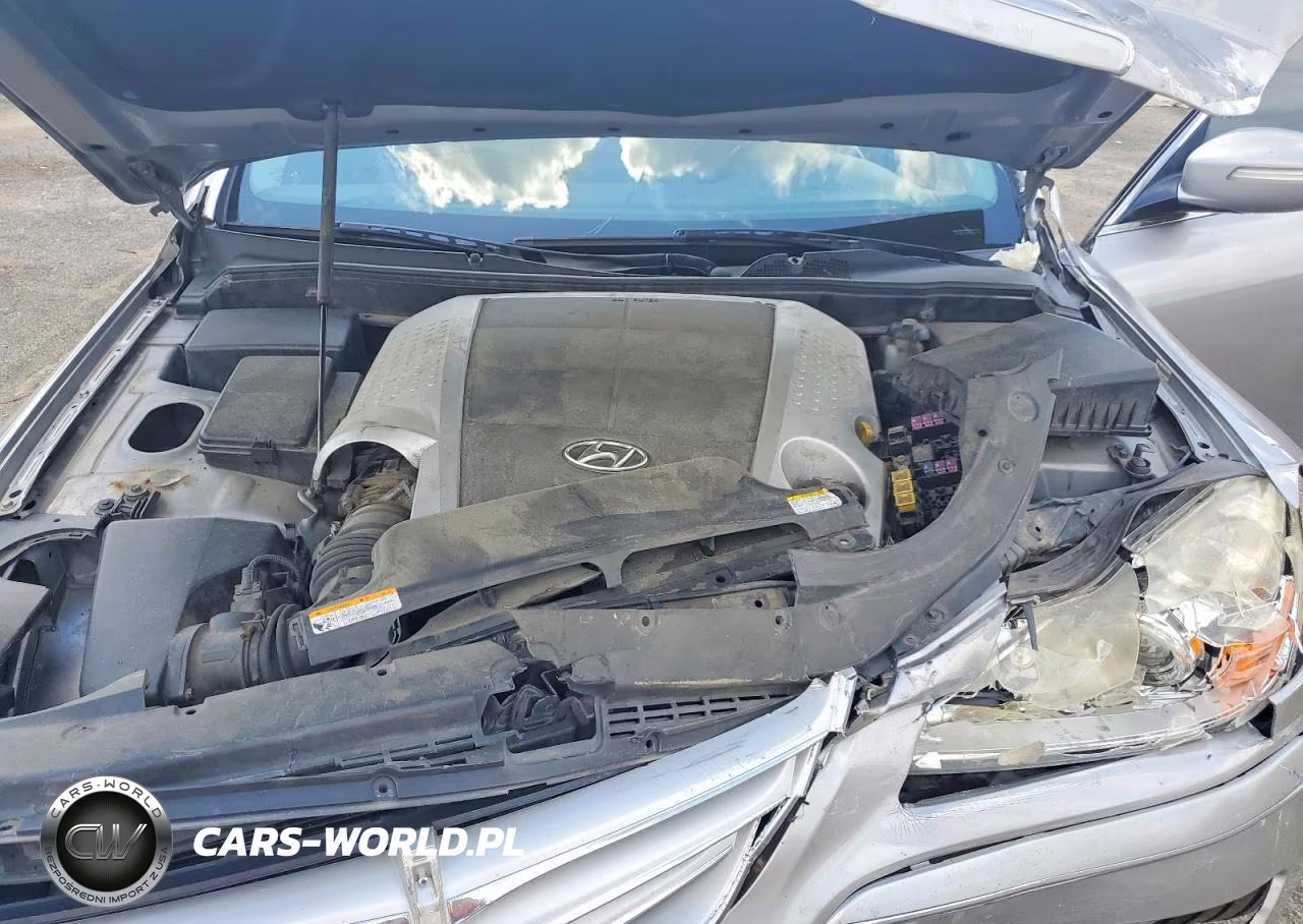 2009 Hyundai Genesis 3.8L VIN:KMHGC46E89U043356 - 11