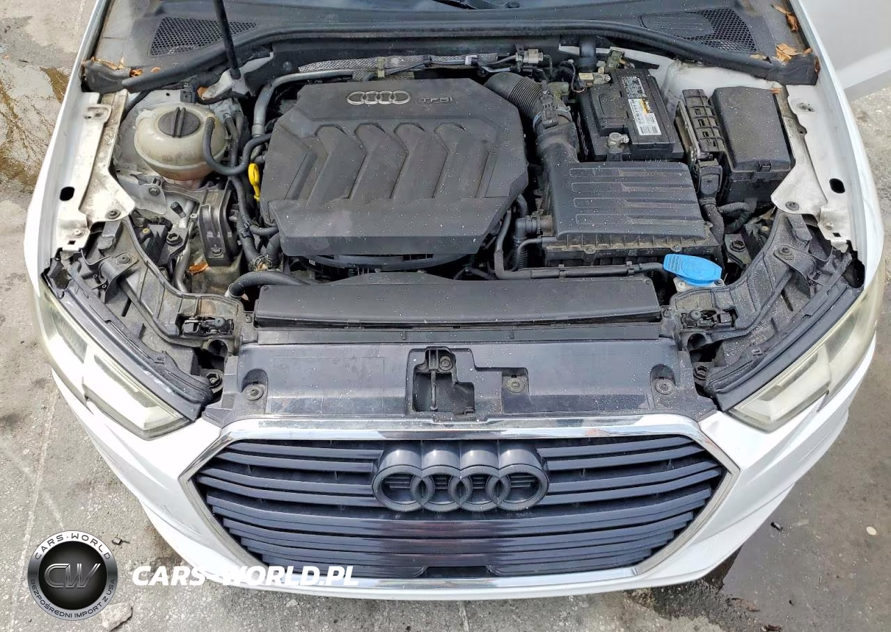 2017 Audi A3 Premium VIN:WAUAUGFF8H1042772 - 11