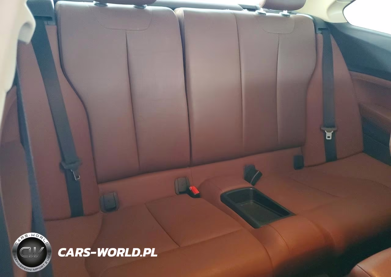2015 BMW 228 I VIN:WBA1F5C5XFV257540 - 10