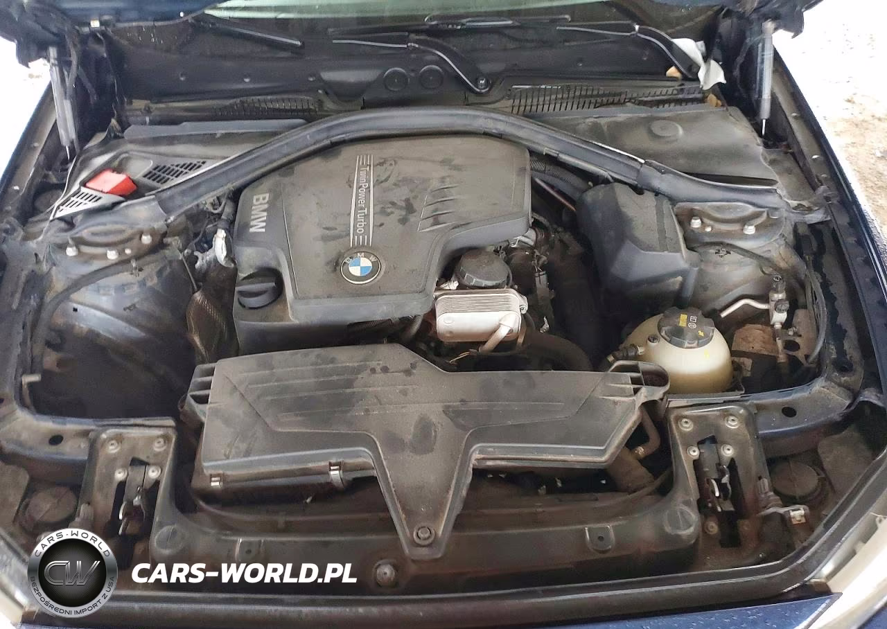 2015 BMW 228 I VIN:WBA1F5C5XFV257540 - 11