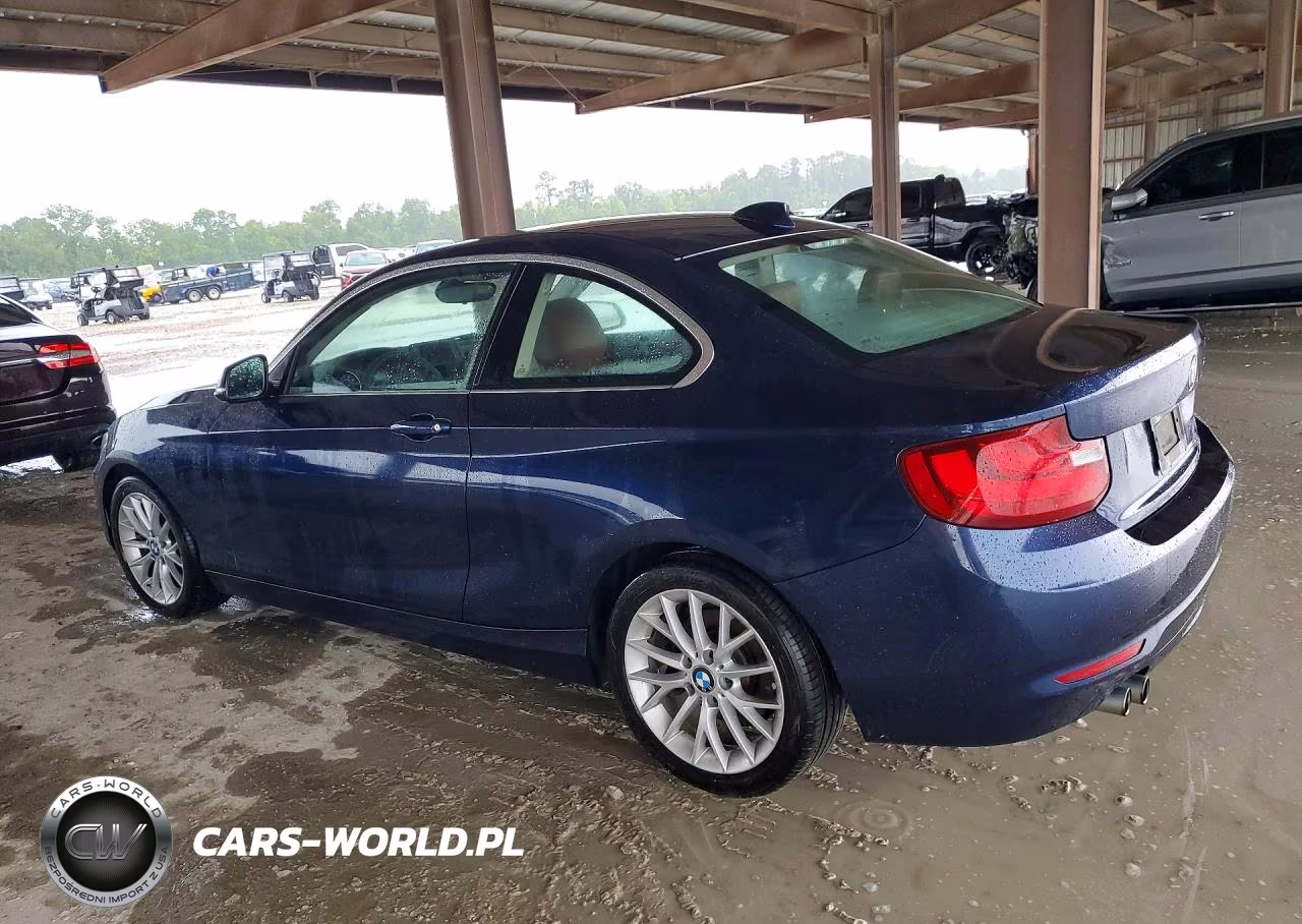 2015 BMW 228 I VIN:WBA1F5C5XFV257540 - 2